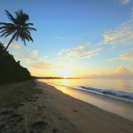 Villa Kanelle, F4, Commerces Et Plage A 100M, ル・ディアマン エクステリア 写真