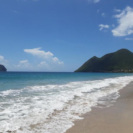 Villa Kanelle, F4, Commerces Et Plage A 100M, ル・ディアマン エクステリア 写真