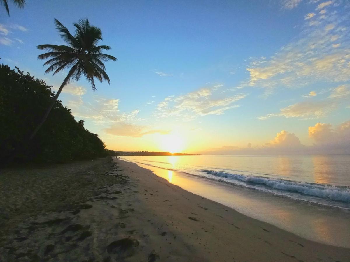 Villa Kanelle, F4, Commerces Et Plage A 100M, ル・ディアマン エクステリア 写真